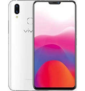 Vivo X21